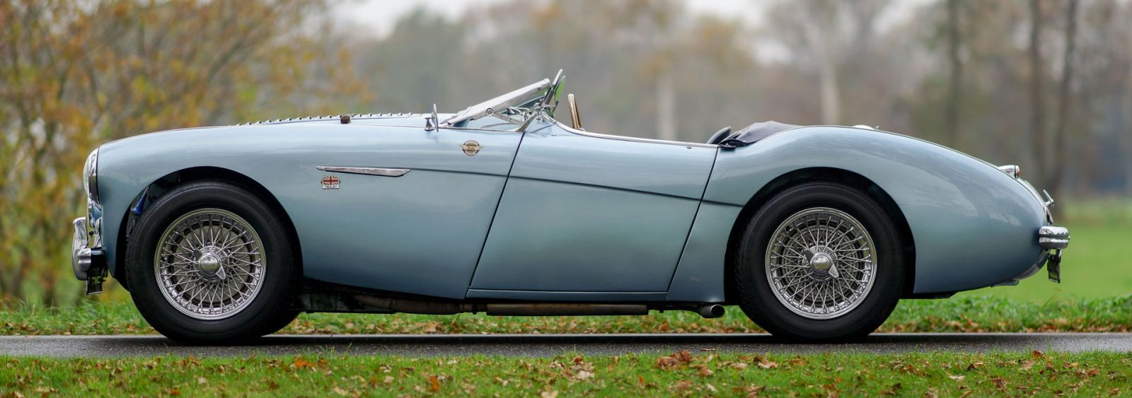 Austin Healey